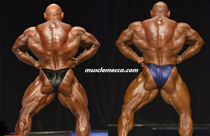 2013 Bodybuilding Images