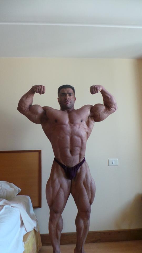 2013 Bodybuilding Images