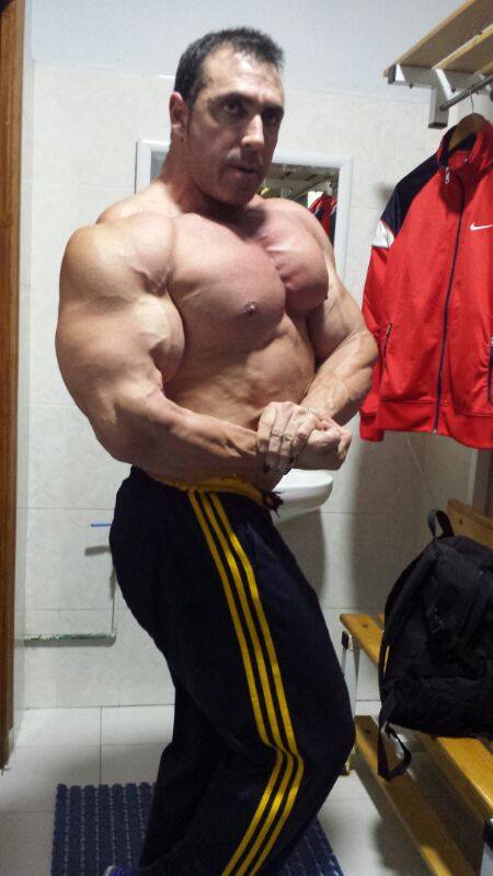 2013 Bodybuilding Images