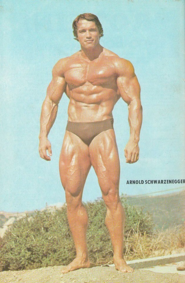 2013 Bodybuilding Images