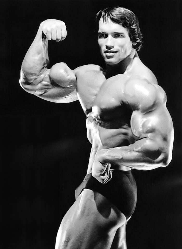 2013 Bodybuilding Images