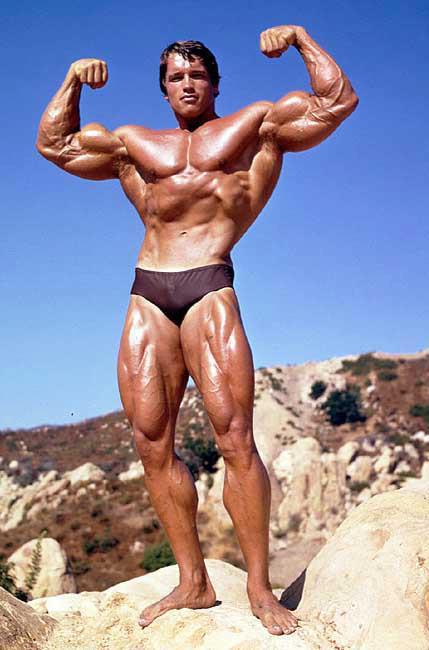 2013 Bodybuilding Images