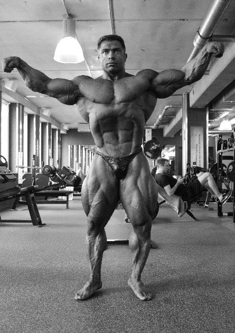 2013 Bodybuilding Images