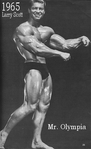 2013 Bodybuilding Images