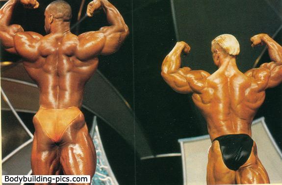 2013 Bodybuilding Images