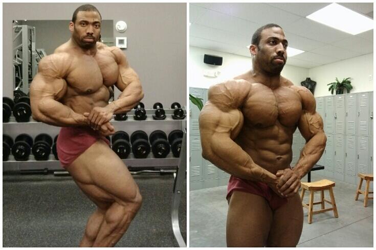 2013 Bodybuilding Images