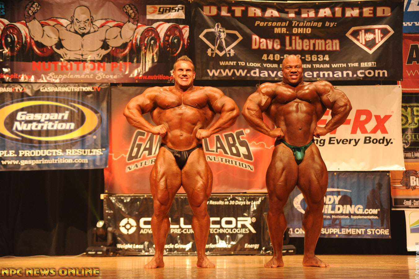 2013 Bodybuilding Images