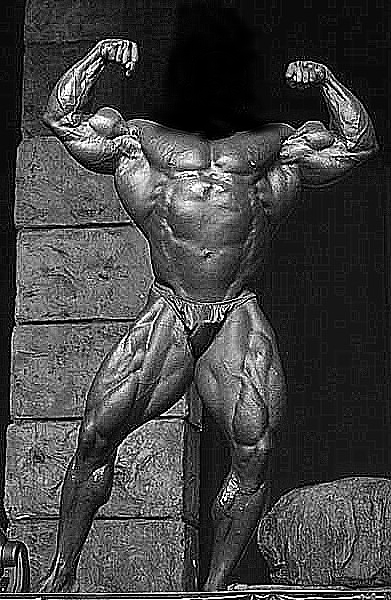 2013 Bodybuilding Images