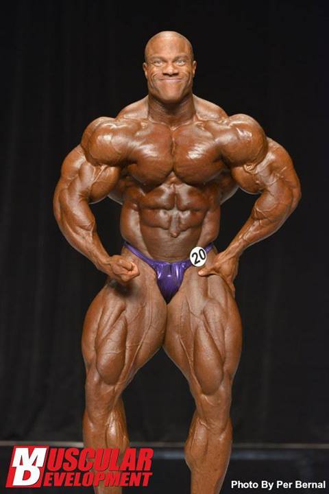 2013 Bodybuilding Images