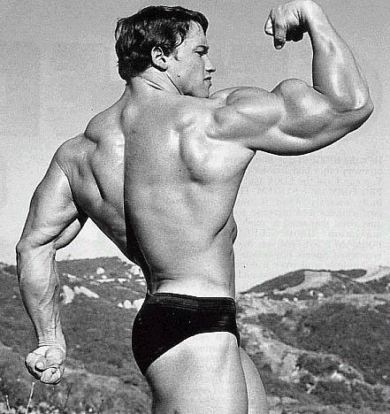 2013 Bodybuilding Images