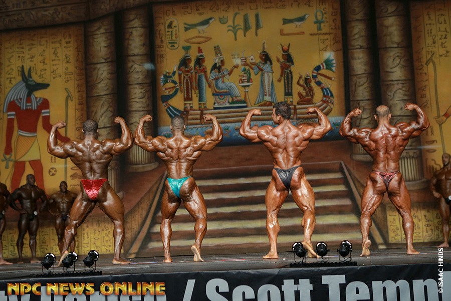 2013 Bodybuilding Images