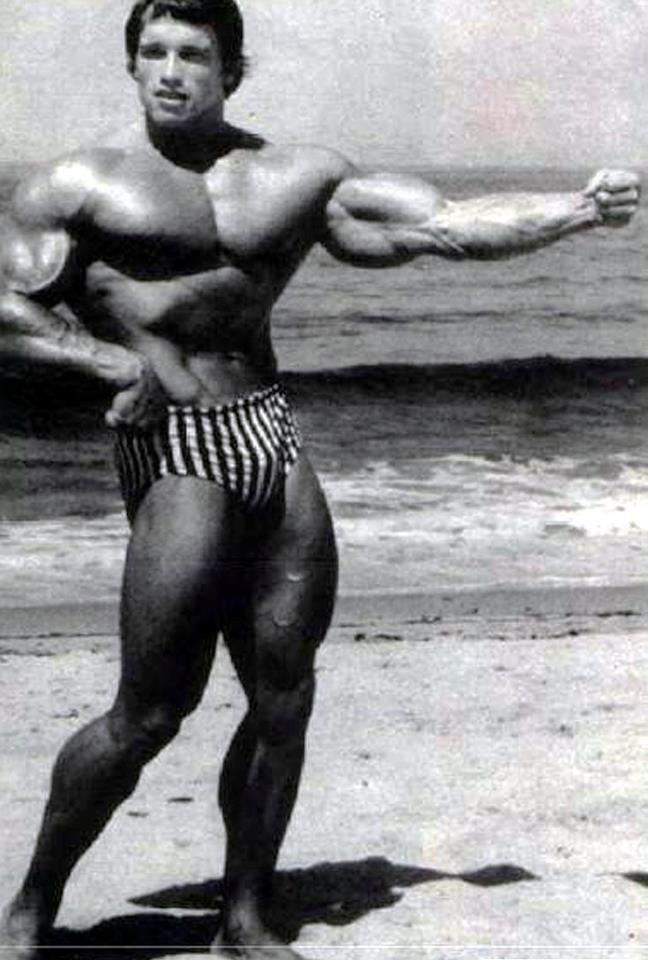 2013 Bodybuilding Images