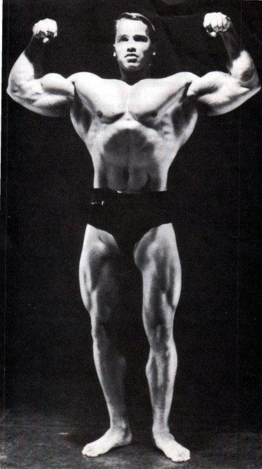 2013 Bodybuilding Images