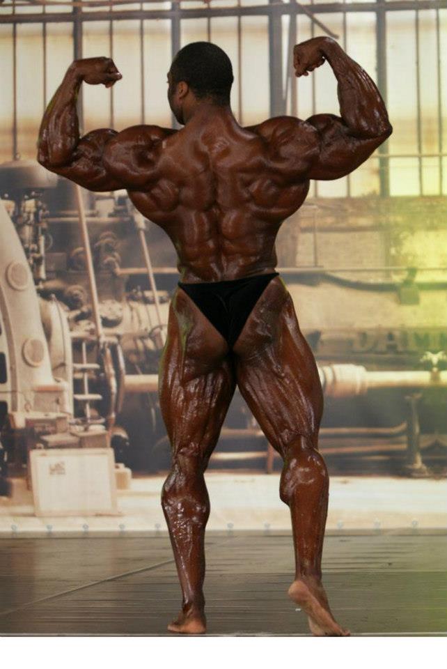 2013 Bodybuilding Images