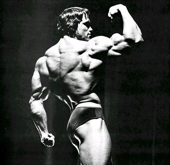 2013 Bodybuilding Images