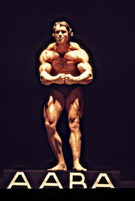 2013 Bodybuilding Images