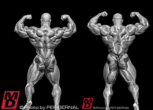 2013 Bodybuilding Images