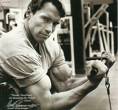 2013 Bodybuilding Images