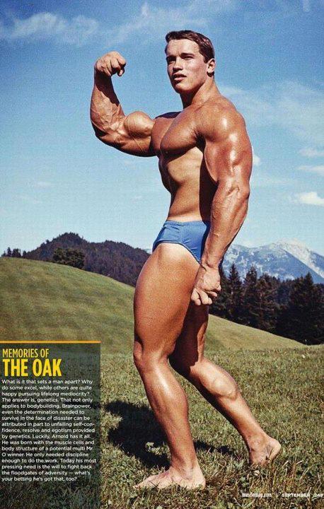 2013 Bodybuilding Images