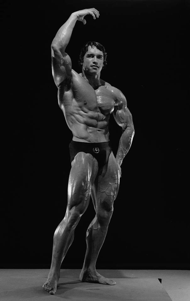 2013 Bodybuilding Images