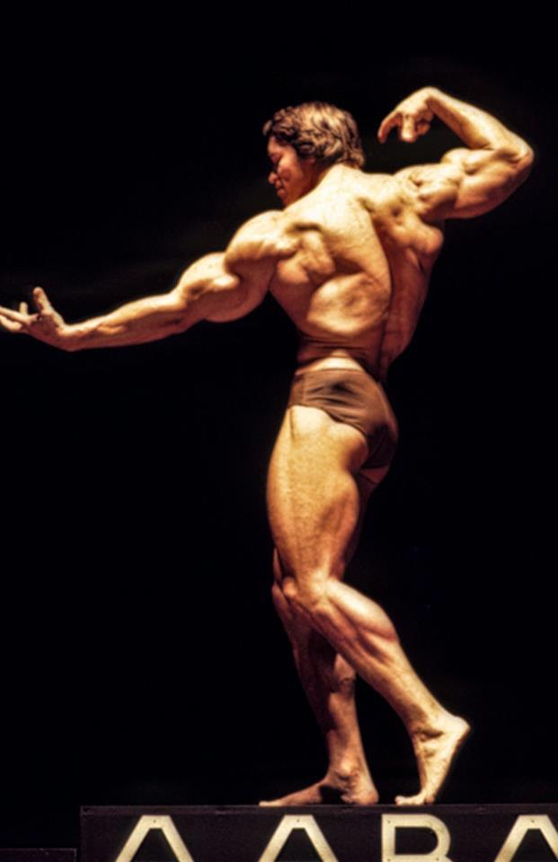 2013 Bodybuilding Images