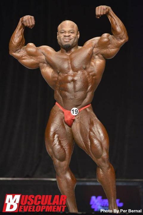 2013 Bodybuilding Images