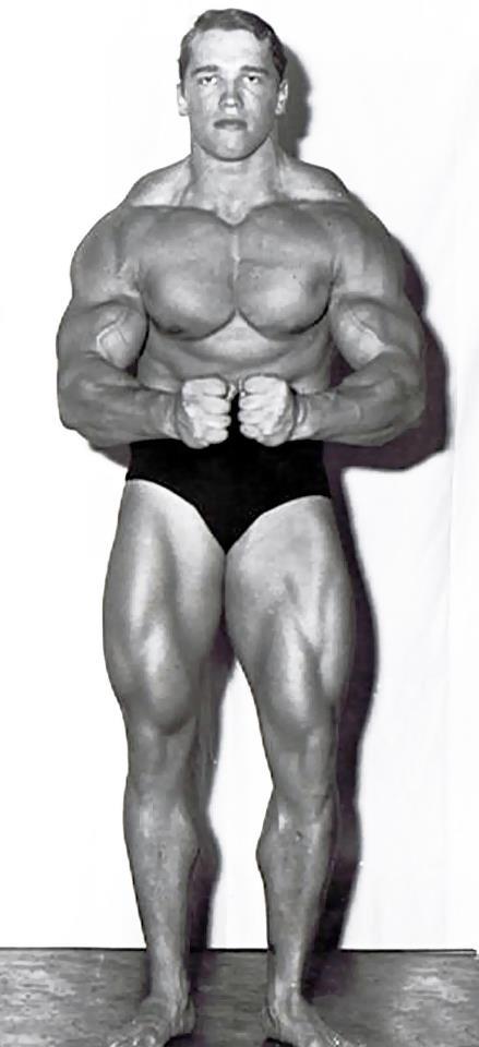 2013 Bodybuilding Images