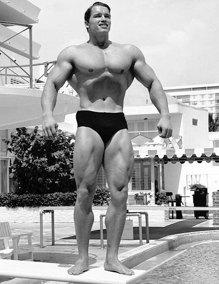 2013 Bodybuilding Images