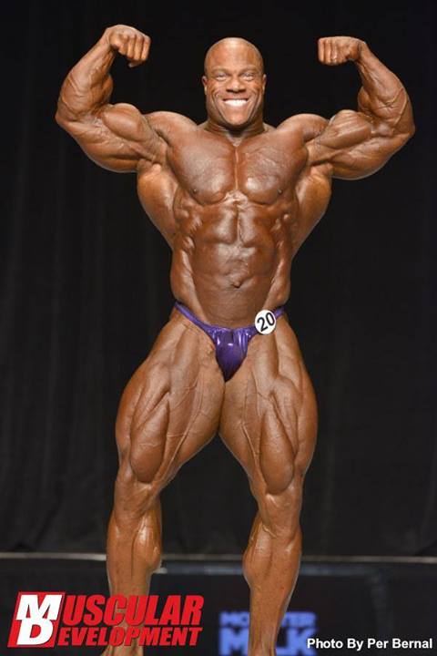 2013 Bodybuilding Images