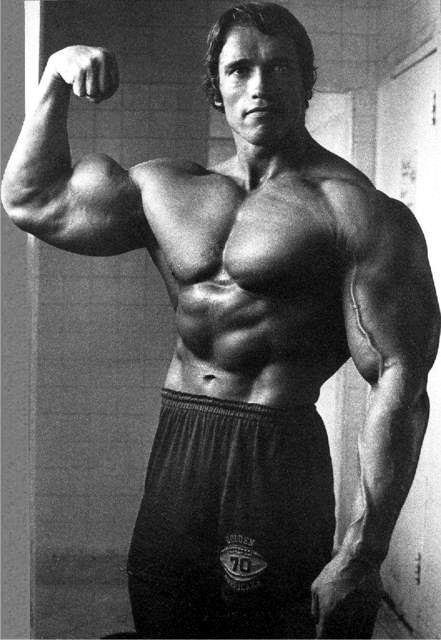 2013 Bodybuilding Images