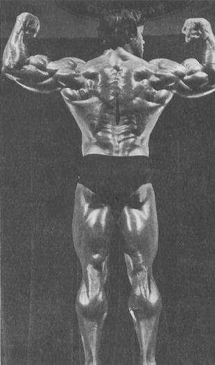 2013 Bodybuilding Images