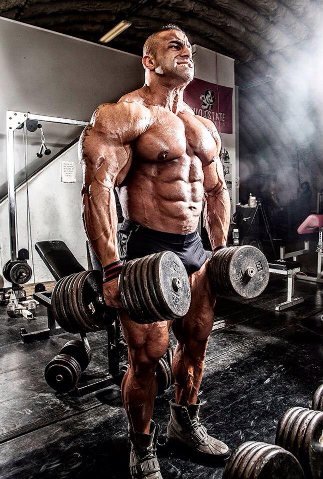 2013 Bodybuilding Images