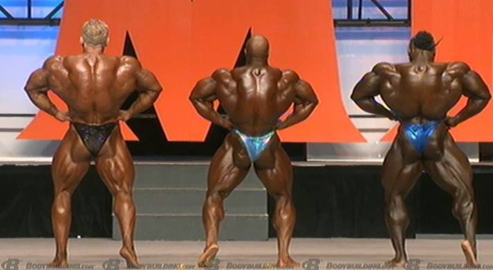 2013 Bodybuilding Images