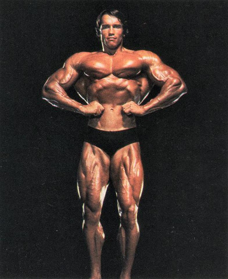 2013 Bodybuilding Images