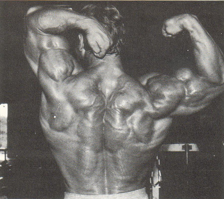 2013 Bodybuilding Images