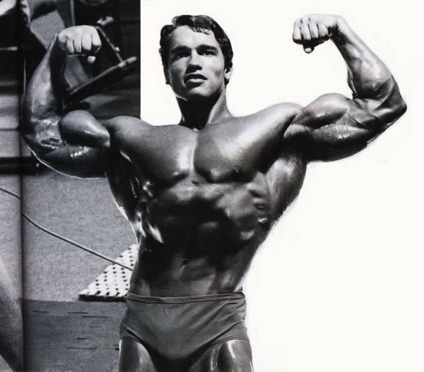 2013 Bodybuilding Images