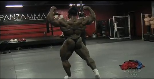 2013 Bodybuilding Images