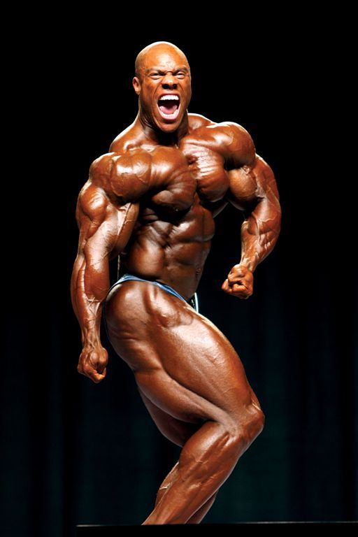 2013 Bodybuilding Images