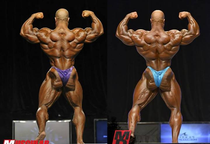 2013 Bodybuilding Images