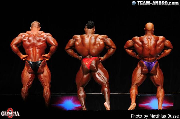 2013 Bodybuilding Images