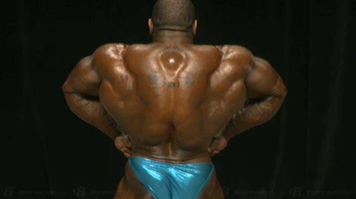 2013 Bodybuilding Images