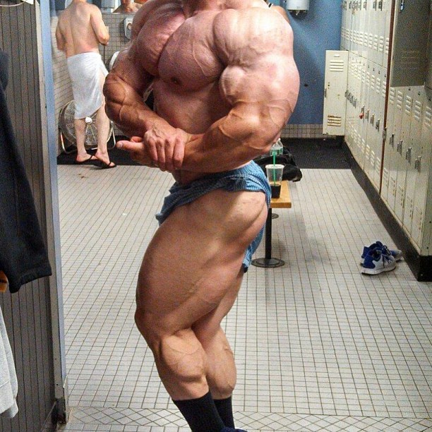 2013 Bodybuilding Images