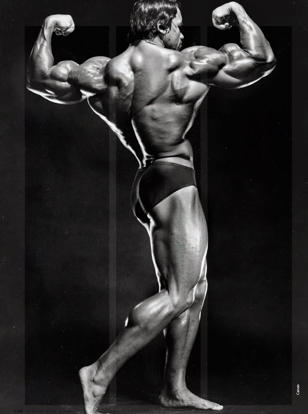 2013 Bodybuilding Images