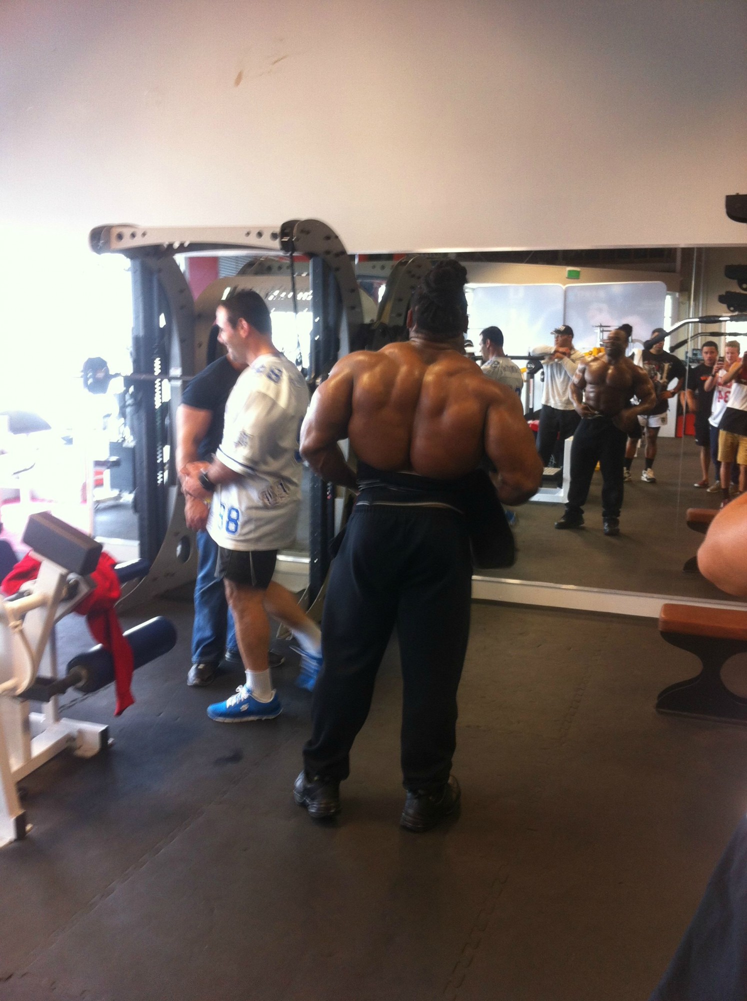 2013 Bodybuilding Images