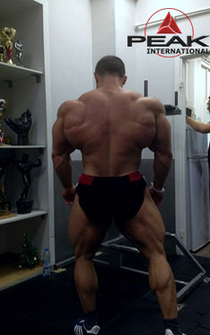 2013 Bodybuilding Images