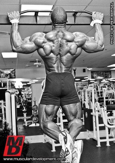 2013 Bodybuilding Images