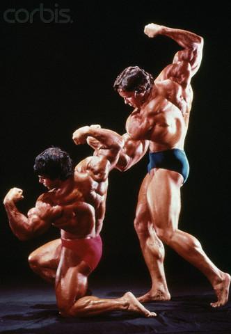 2013 Bodybuilding Images