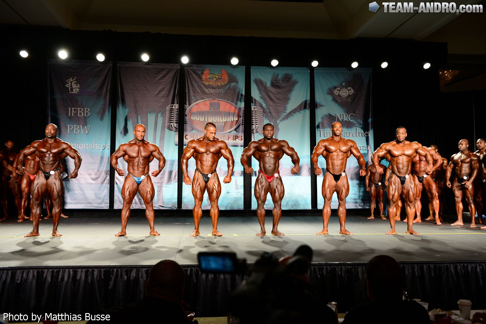 2013 Bodybuilding Images