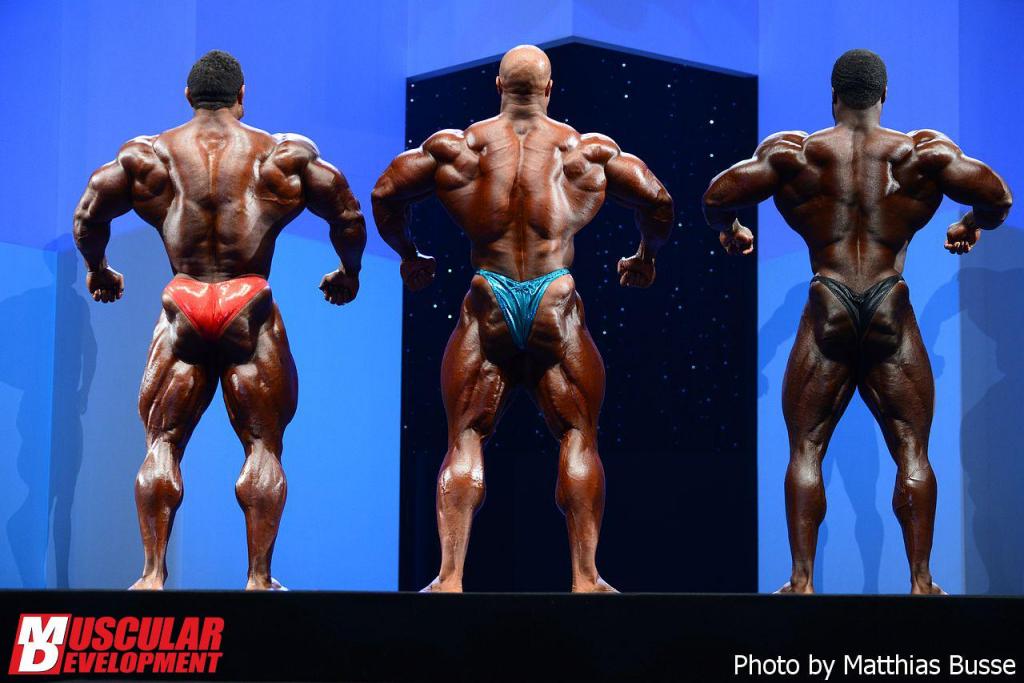 2013 Bodybuilding Images