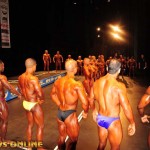 2013 Bodybuilding Images